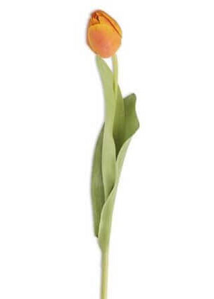 19.5 Tulip Stem