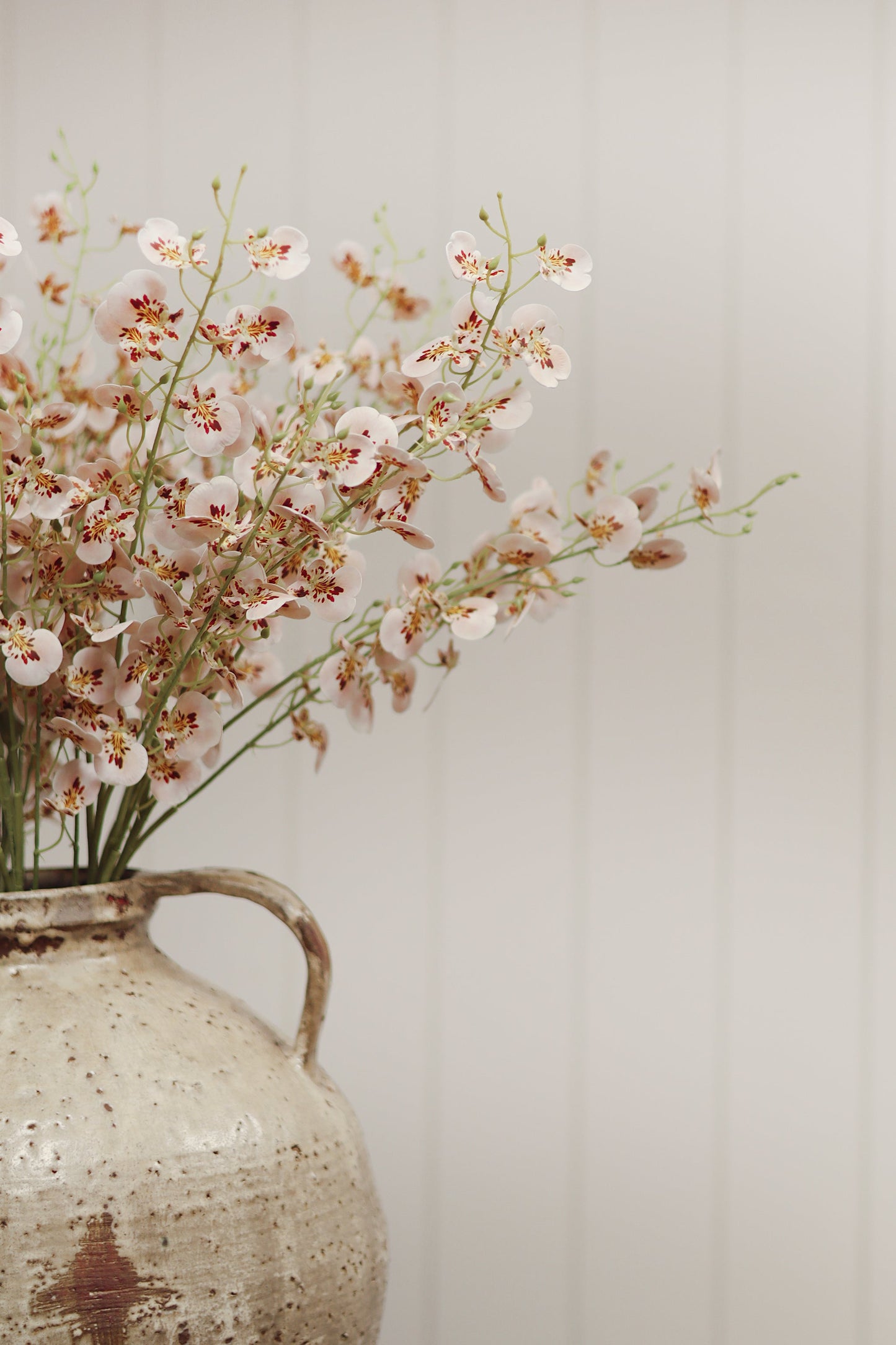Wild Orchid Spray