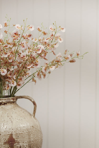 Wild Orchid Spray
