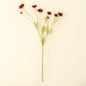 Calliopsis Spray in Rust Red