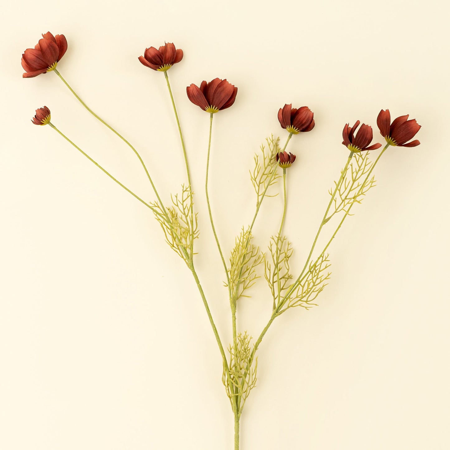 Calliopsis Spray in Rust Red