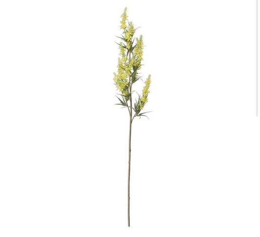 Yellow Golden Rod Stem