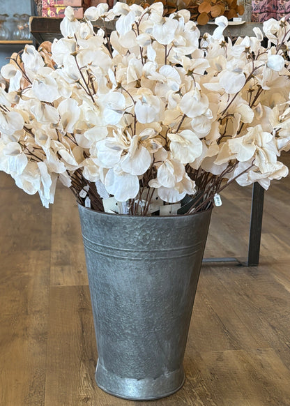 Cream Sweet Pea Stem