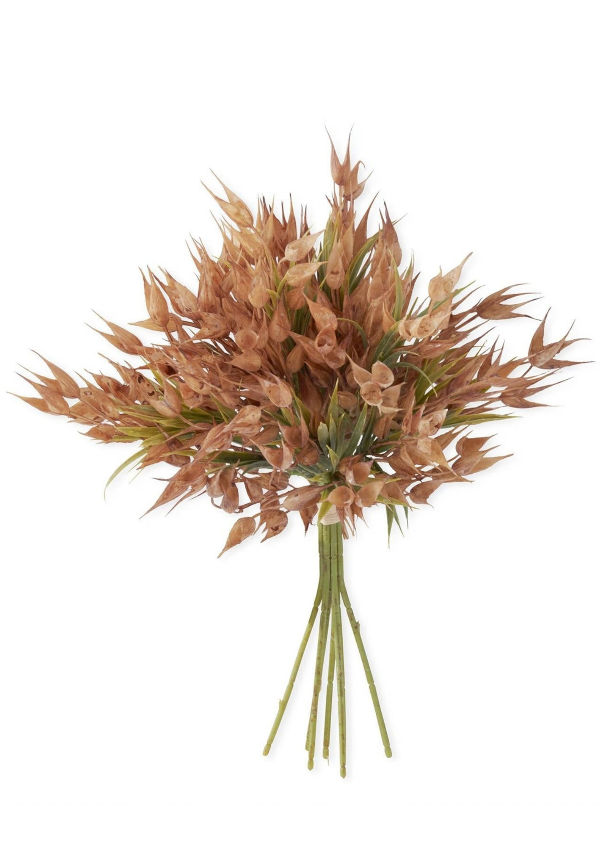 Wheat Bundle-14In