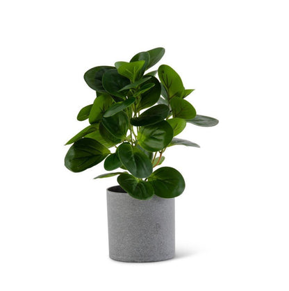 13 Inch Watercress Foliage in Gray Pot