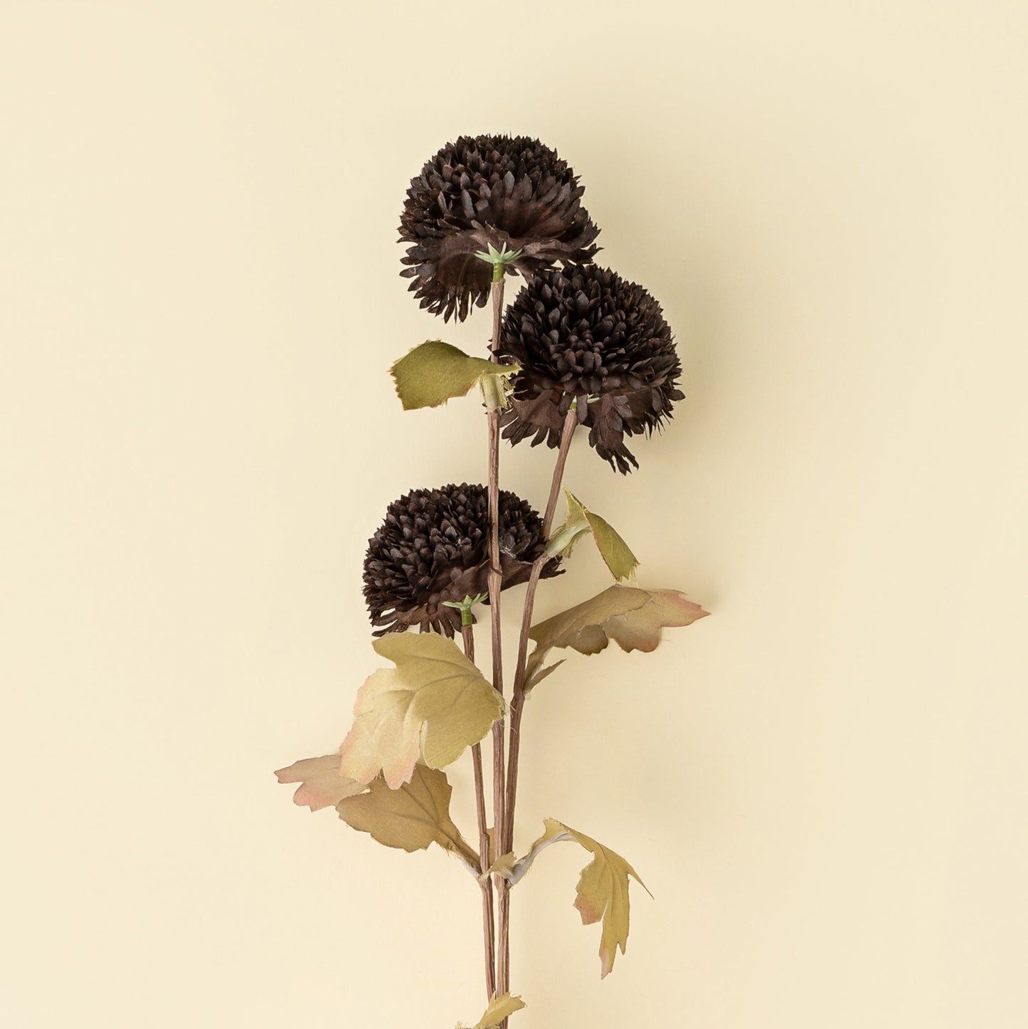 Pom Pom Floral Spray in Midnight