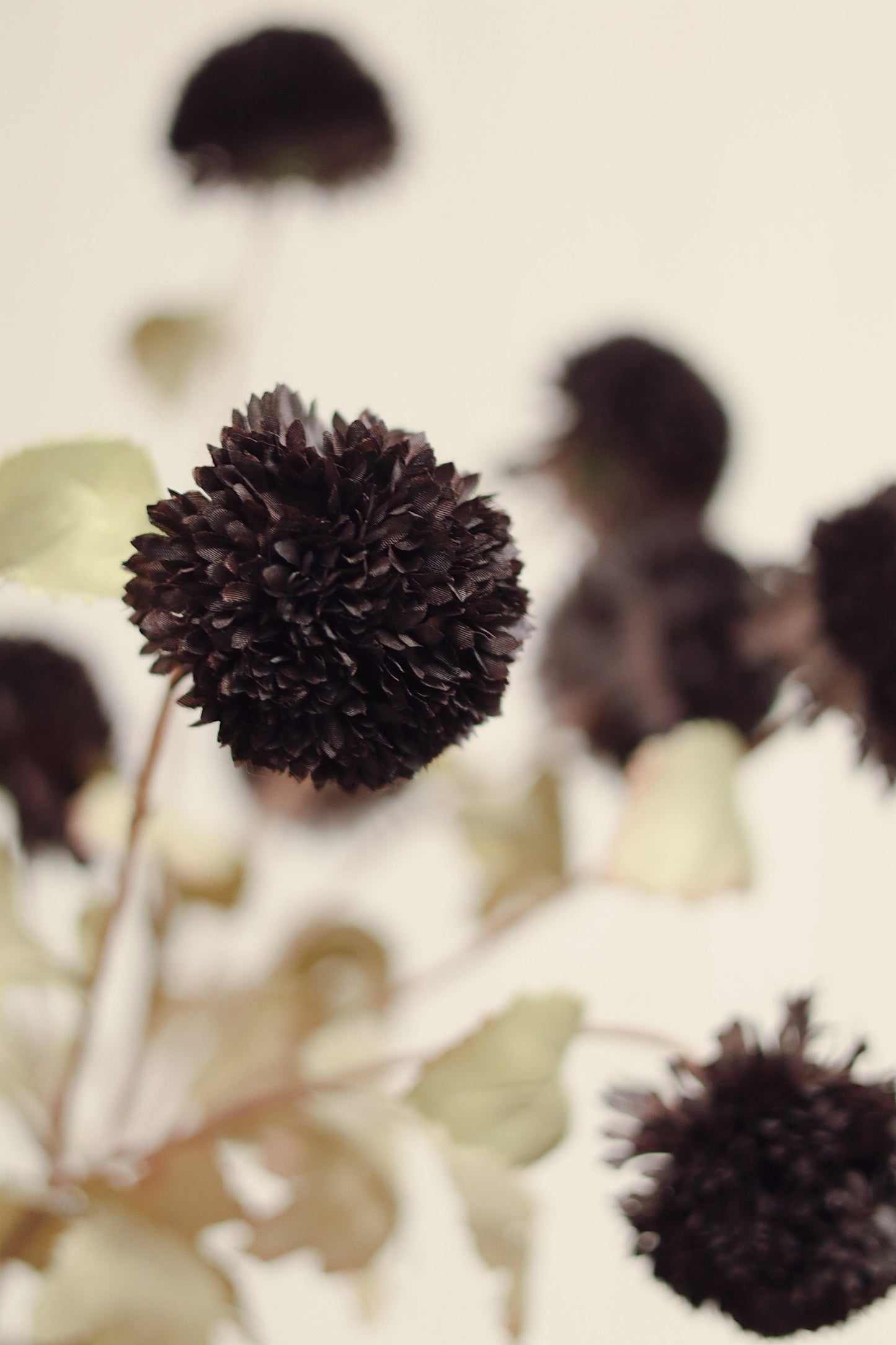 Pom Pom Floral Spray in Midnight