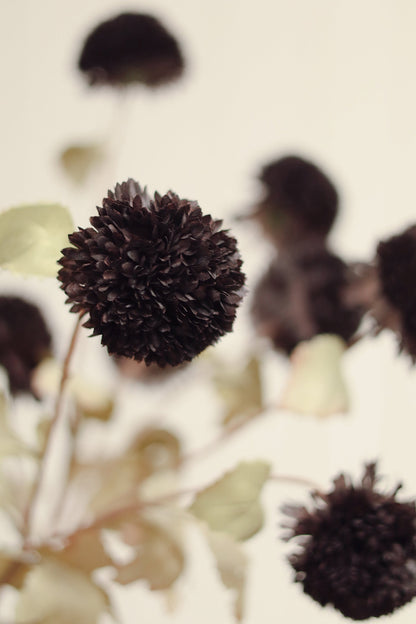 Pom Pom Floral Spray in Midnight