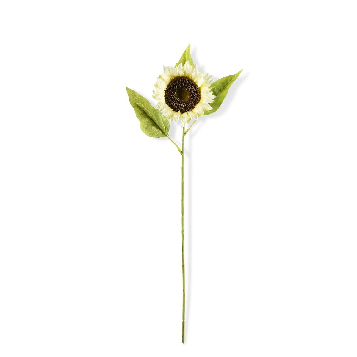 Single Cream Sunflower Stem- 28inch