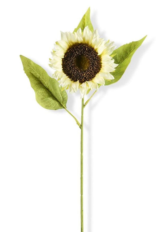 Single Cream Sunflower Stem- 28inch