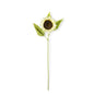Single Cream Sunflower Stem- 28inch