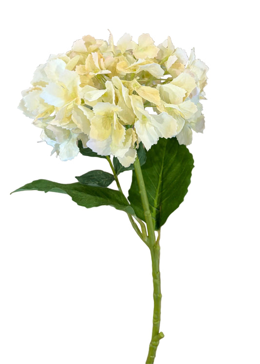 Hydrangea Spray in Green