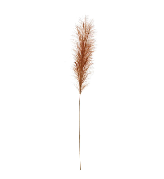 Bristlegrass Branch in Terra Cotta