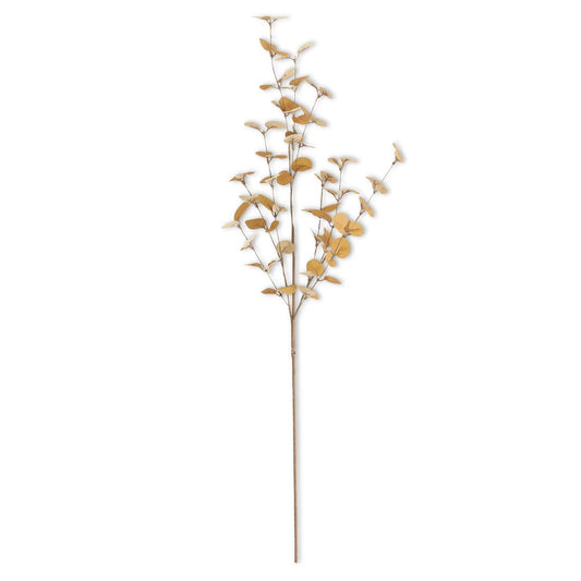 Orange 2 Tone Eucalyptus Stem