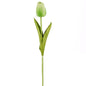 19.5 Tulip Stem
