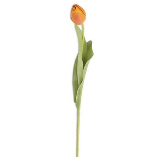 19.5 Tulip Stem