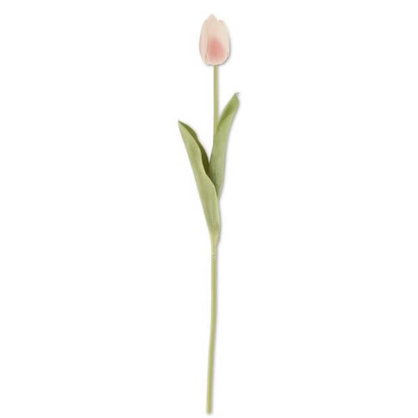 19.5 Tulip Stem