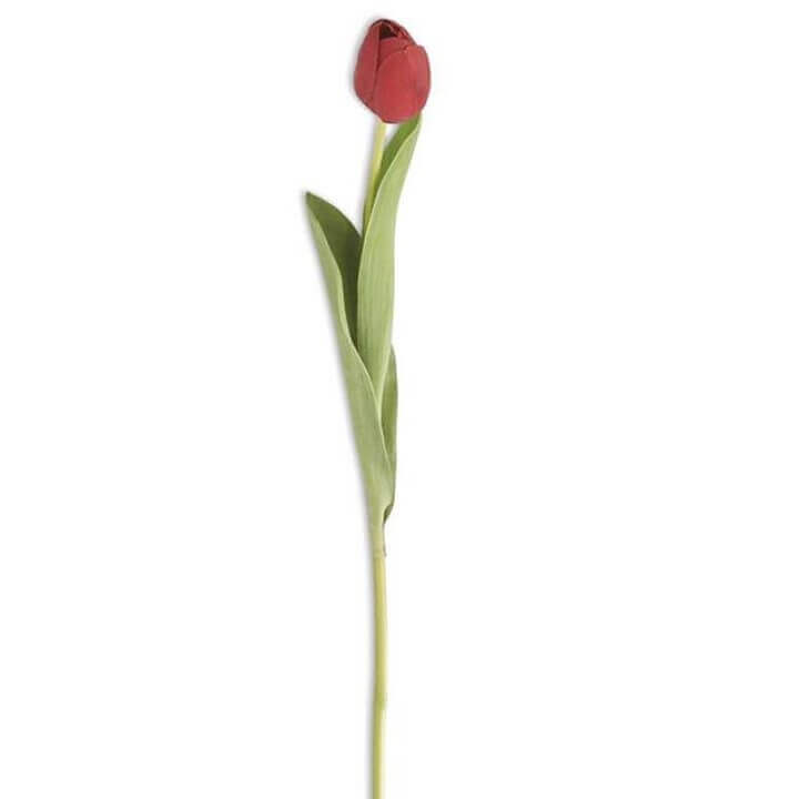 19.5 Tulip Stem