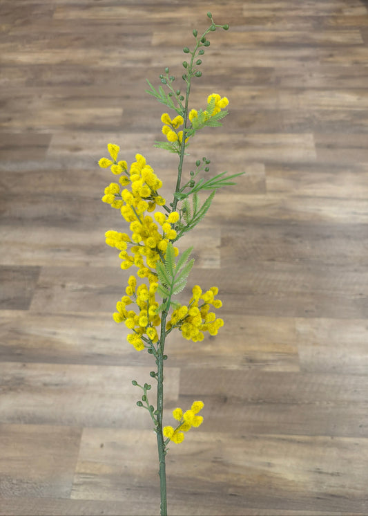 Yellow Goldenball Lead Tree Stem