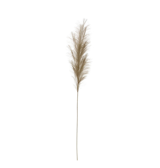 Bristlegrass Branch in Sage