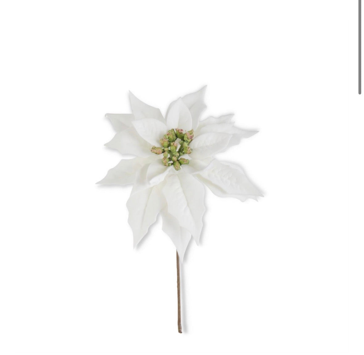 Poinsettia Pick in White