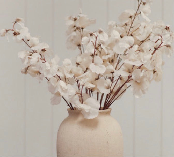 Cream Sweet Pea Stem