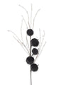 Black Velvet Pumpkin Stem