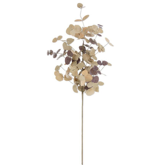 Tan 2 Tone Eucalyptus Stem-36in