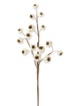 White Fig Stem - 27inch