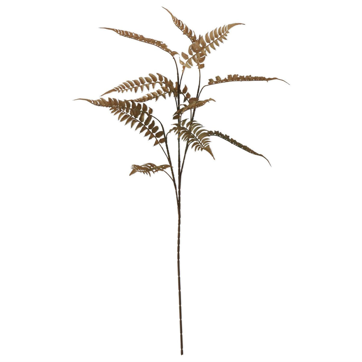 Olive Green Fern Spray-36in