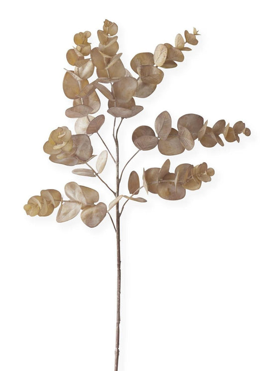 Brown Eucalyptus Stem - 24 inch