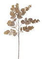 Brown Eucalyptus Stem - 24 inch