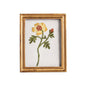 Colorful Framed Floral Embroidery