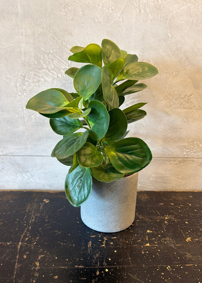 13 Inch Watercress Foliage in Gray Pot