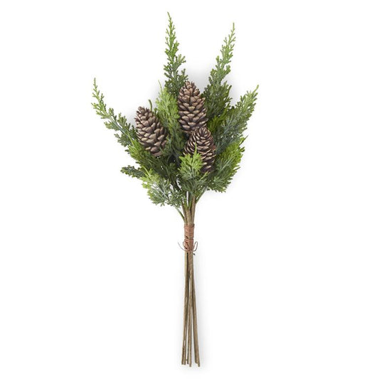 Cyprus Pine Bundle w/Pinecones-24in