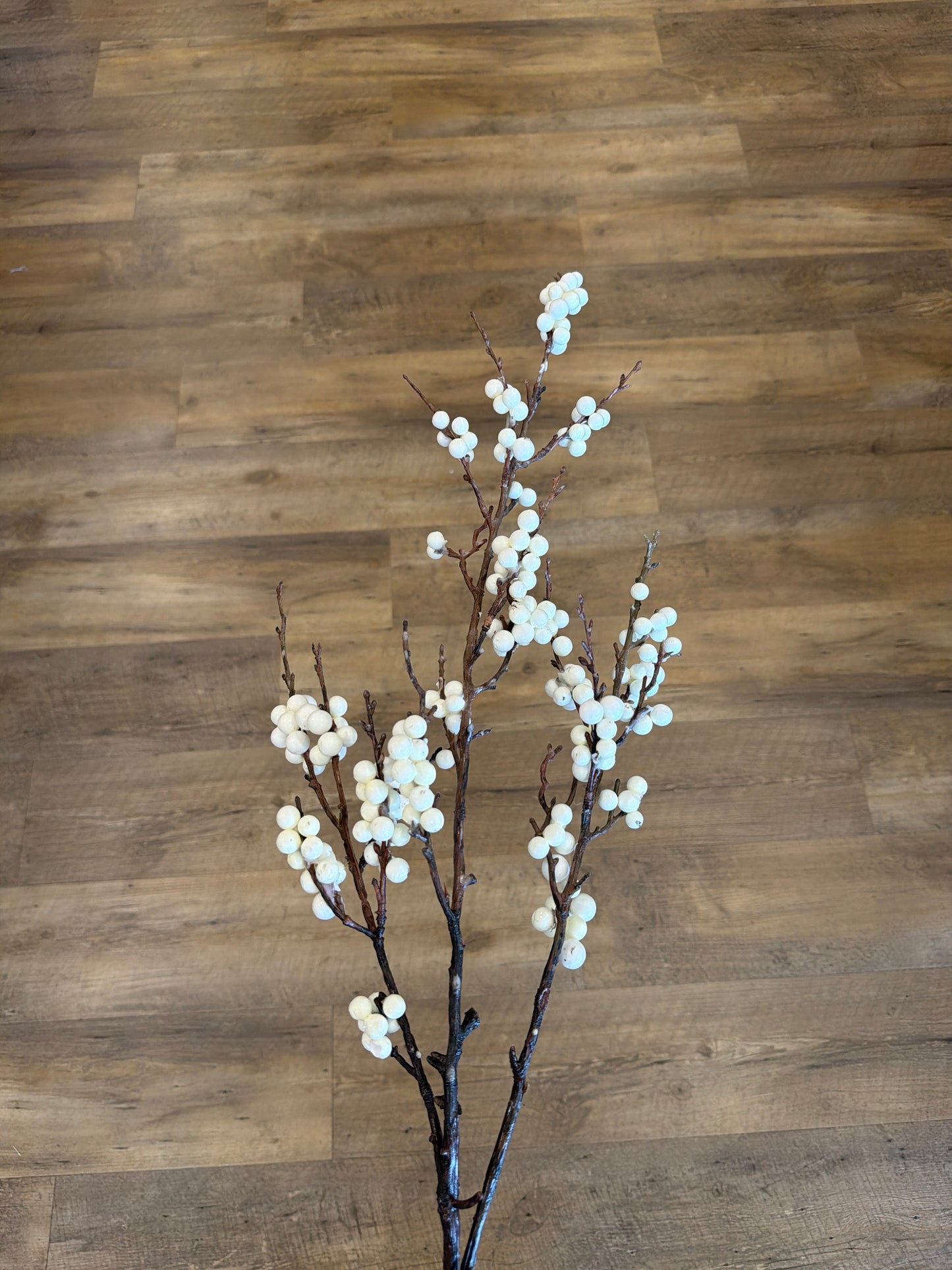 White Berry Branch