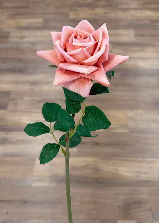 Rose Stem in Coral