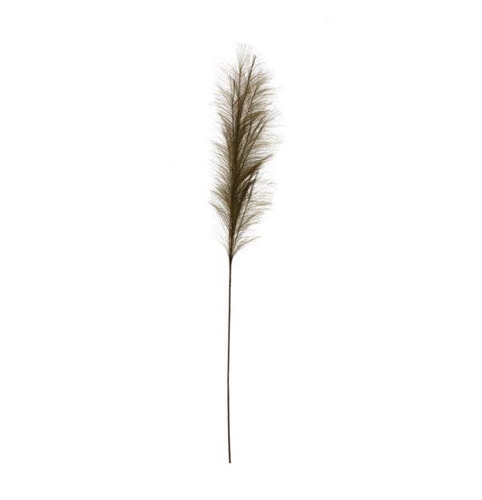 Bristlegrass Branch in Olive