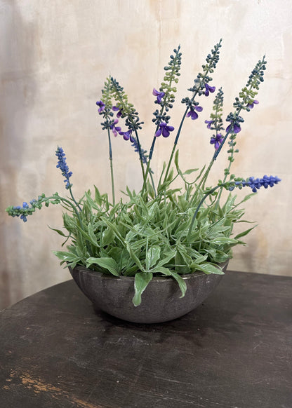 Purple Lavender in Clay Pot