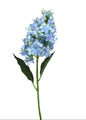 Blue Cone Hydrangea Stem