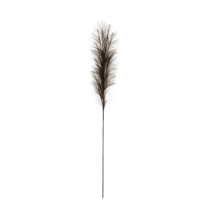Bristlegrass Branch in Grey
