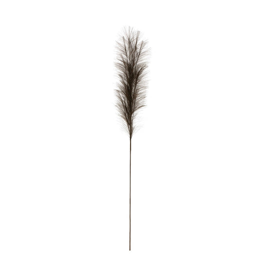 Bristlegrass Branch in Grey