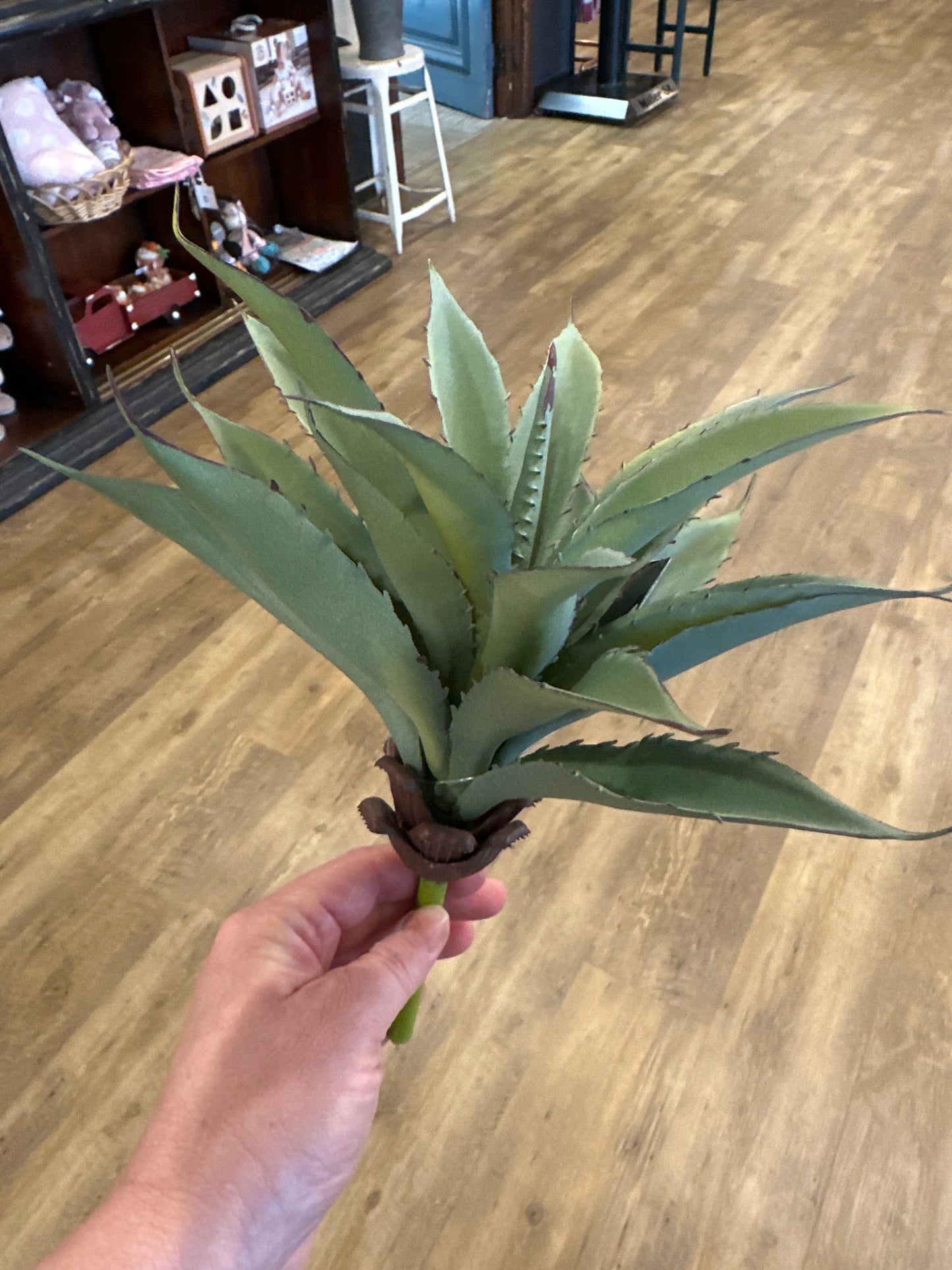 Aloe Succulent Pick