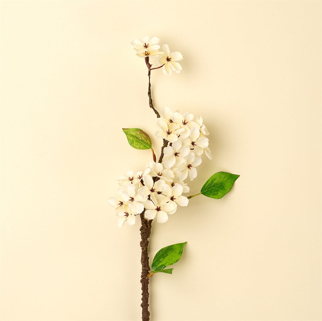Pear Blossom Branch