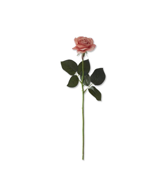 Rose Stem in Coral