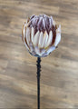 Flocked Cream King Protea Stem