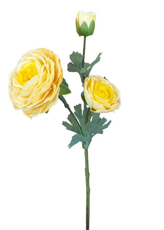 Yellow Triple Ranunculus Stem