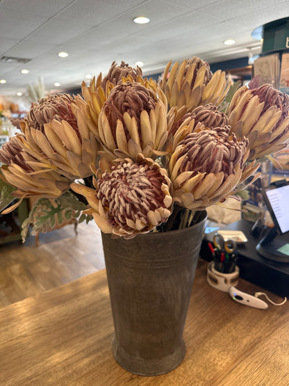 Flocked Cream King Protea Stem