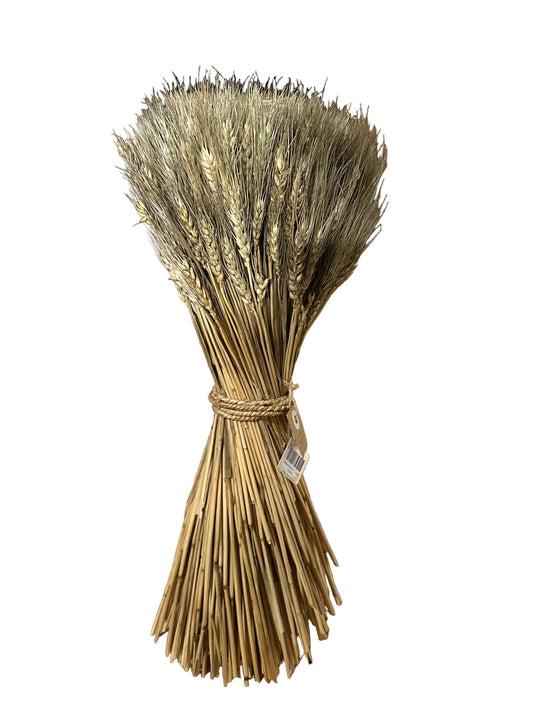 Wheat Bundle 1
