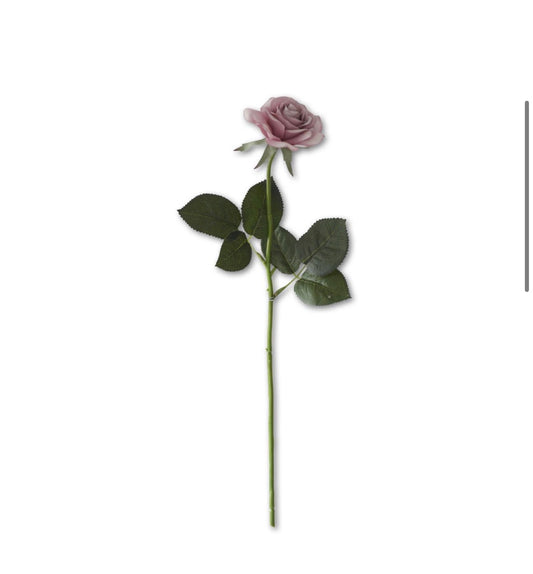 Rose Stem in Purple
